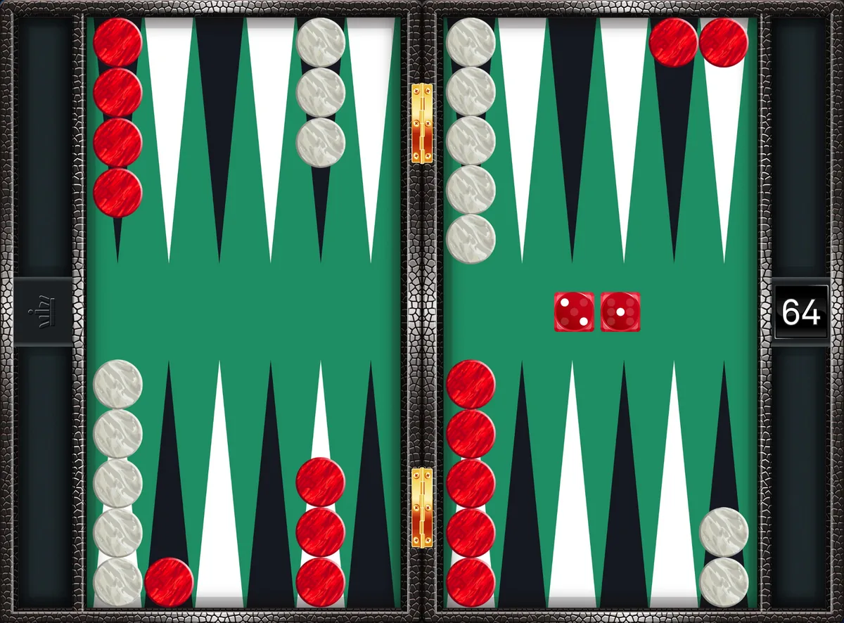 Backgammon opening 2-1: the position after the canonical play 24/23, 13/11