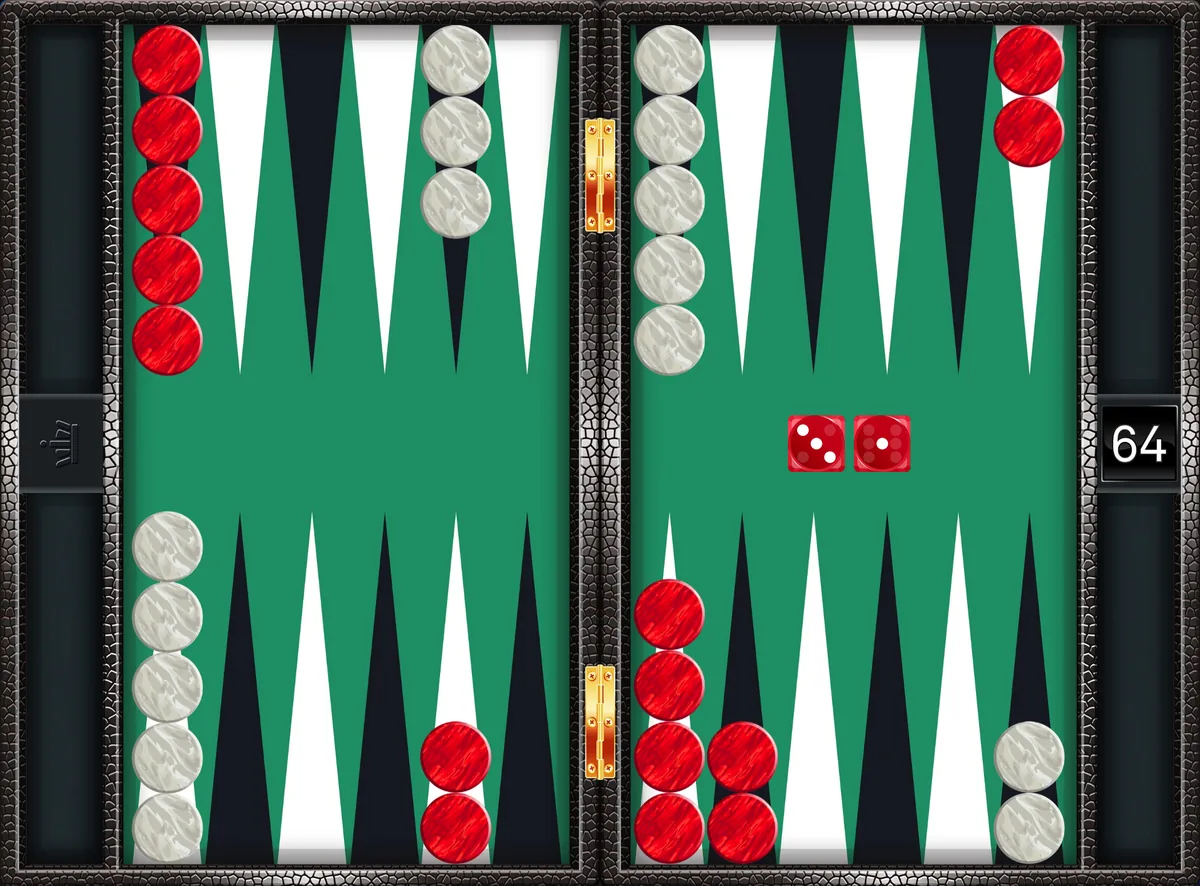 Backgammon opening 3-1: the position after the canonical play 8/5, 6/5
