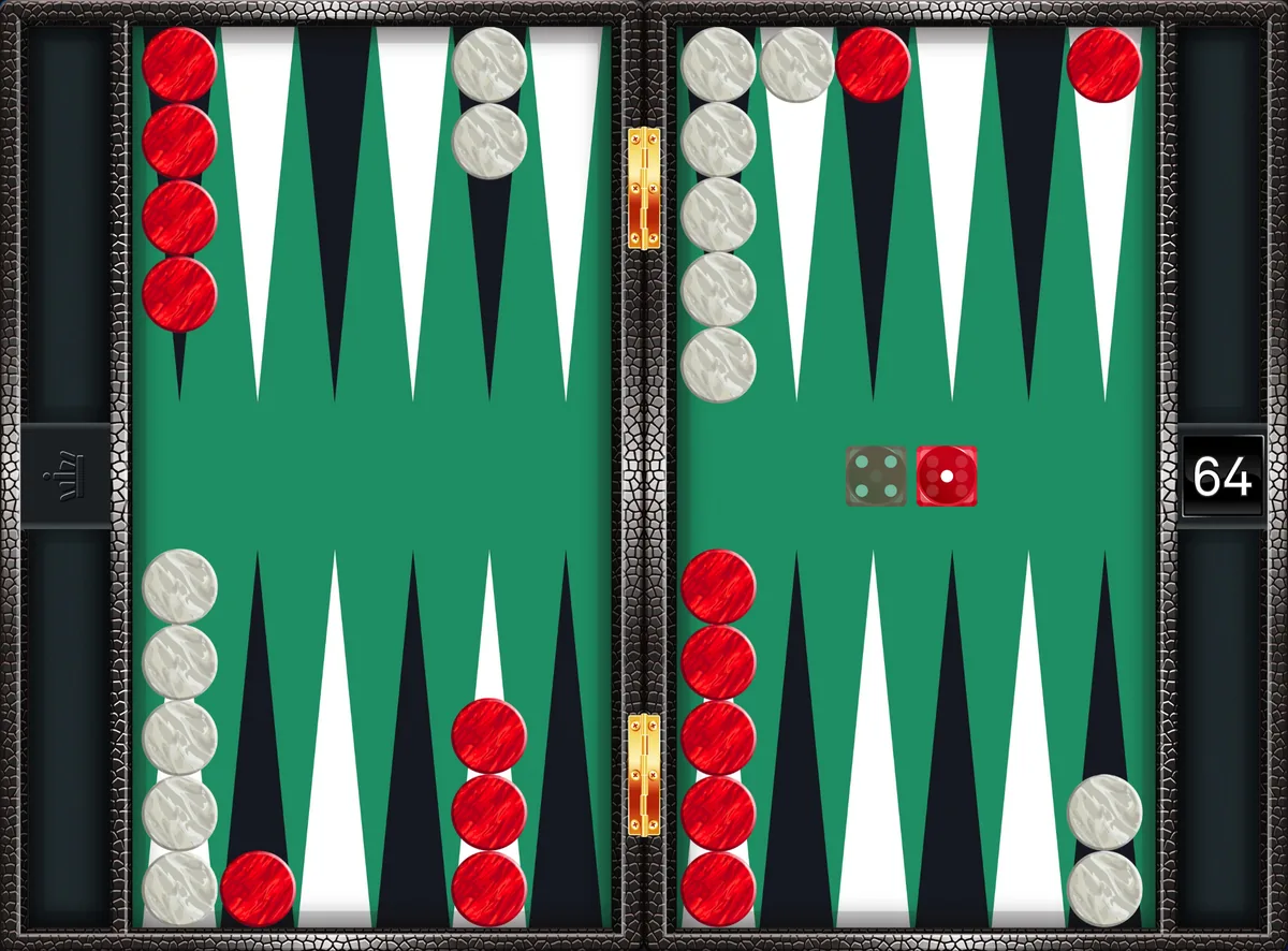 Backgammon opening 4-1: the position after the canonical play 24/23, 13/9