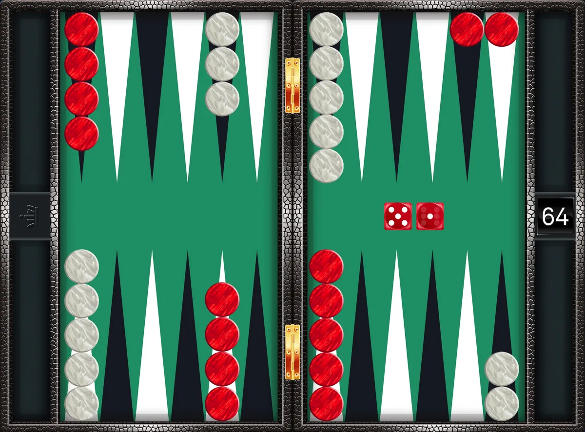Backgammon opening 5-1: the position after the canonical play 24/23, 13/8