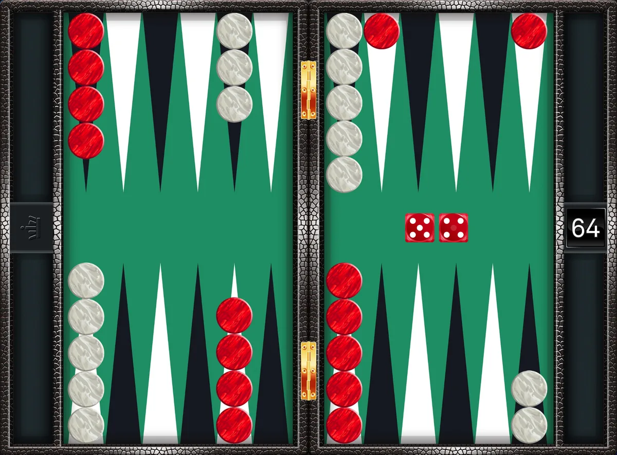 Backgammon opening 5-4: the position after the canonical play 24/20, 13/8