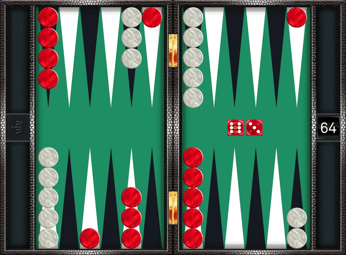 Backgammon opening 6-3: the position after the canonical play 24/18, 13/10