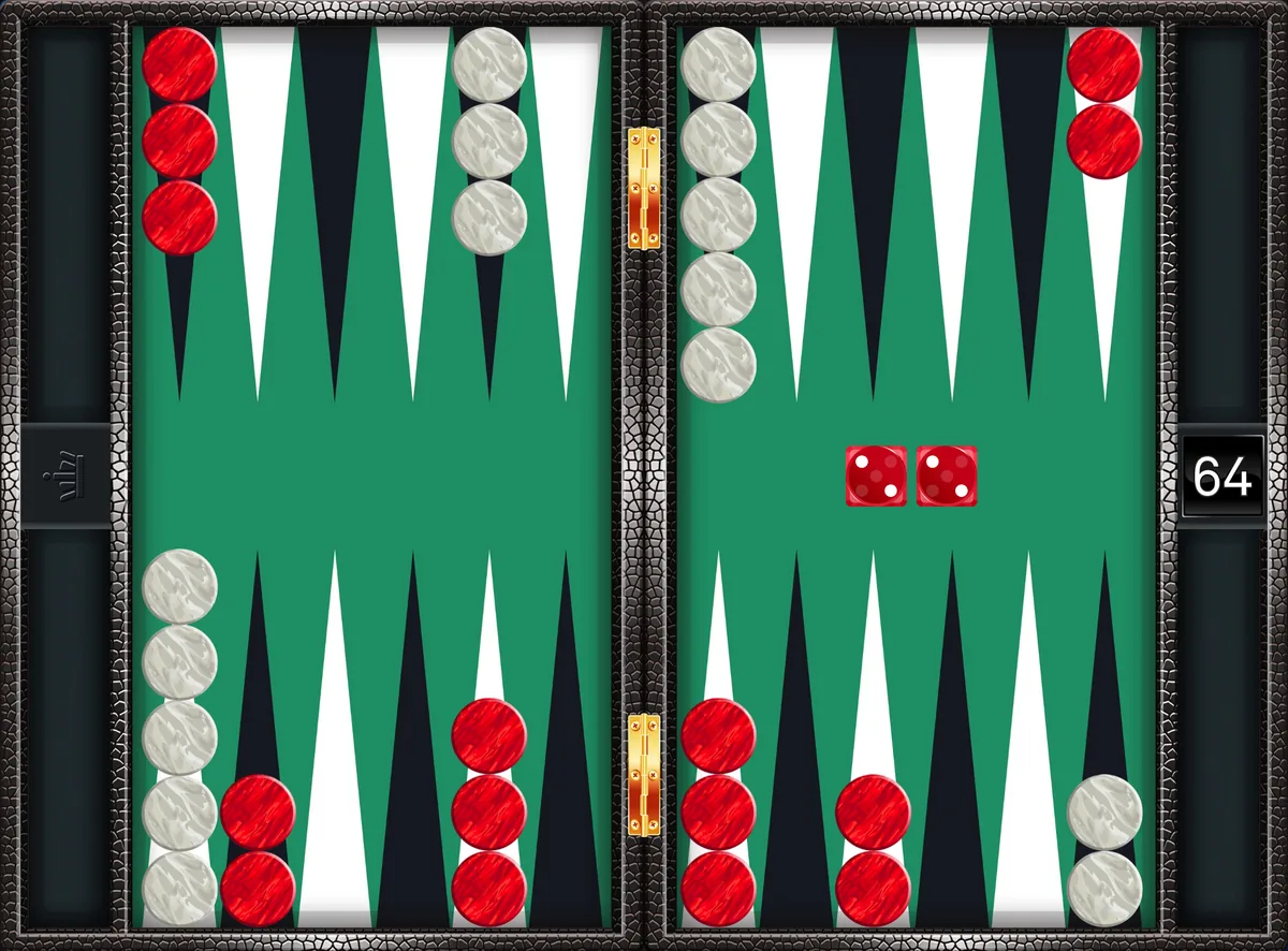 Backgammon doubles 2-2 played from the standard setup: 13/11(2), 6/4(2)