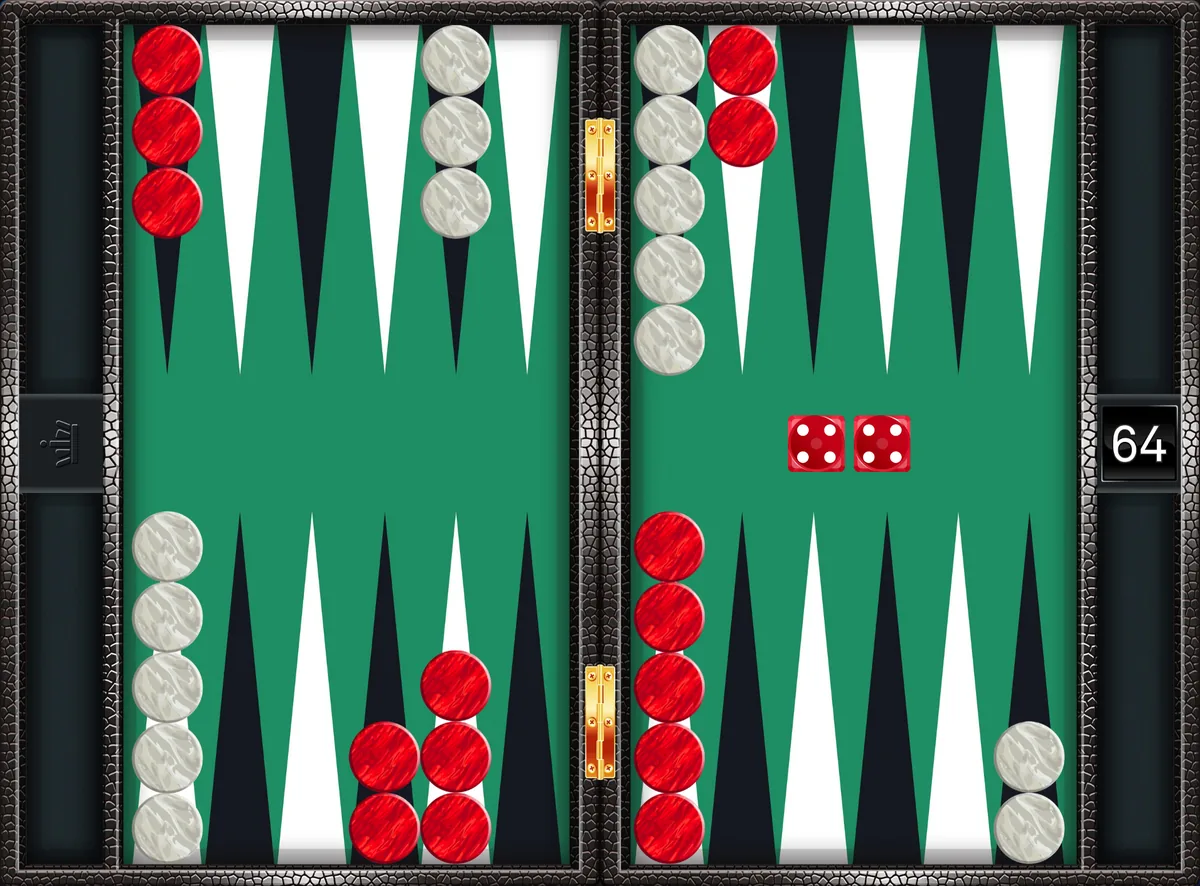 Backgammon doubles 4-4 played from the standard setup: 24/20(2), 13/9(2)